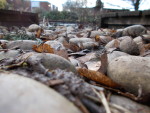 Harriet Harding's photo